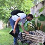 Prefeitura realiza mutirão de combate à dengue em Iguatemi e bairros Vila Santa Izabel e Cidade Universitária neste sábado, 25