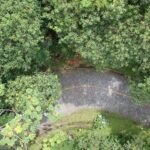 Crânio de dinossauro marinho é descoberto no sul da Inglaterra