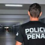 PCPR deflagra operação contra organização ligada ao tráfico de animais silvestres