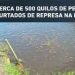 Bolsonaro pede afastamento de Moraes de inquérito sobre golpe