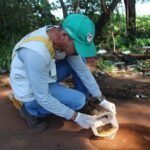 Polícia Rodoviária Federal apreende quase 200 quilos de maconha no noroeste do Paraná