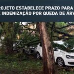 Com cruzeiros e Verão Maior, turismo cresce 2% no Paraná em janeiro, aponta IBGE