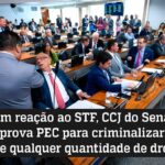 Procon prepara pesquisa inédita sobre repelentes