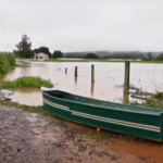 Estrelas do vôlei levam mais de 4 mil pessoas ao Ginásio do Tarumã em prol do Rio Grande do Sul