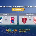 Boi Caprichoso é campeão do Festival de Parintins pela terceira vez consecutiva