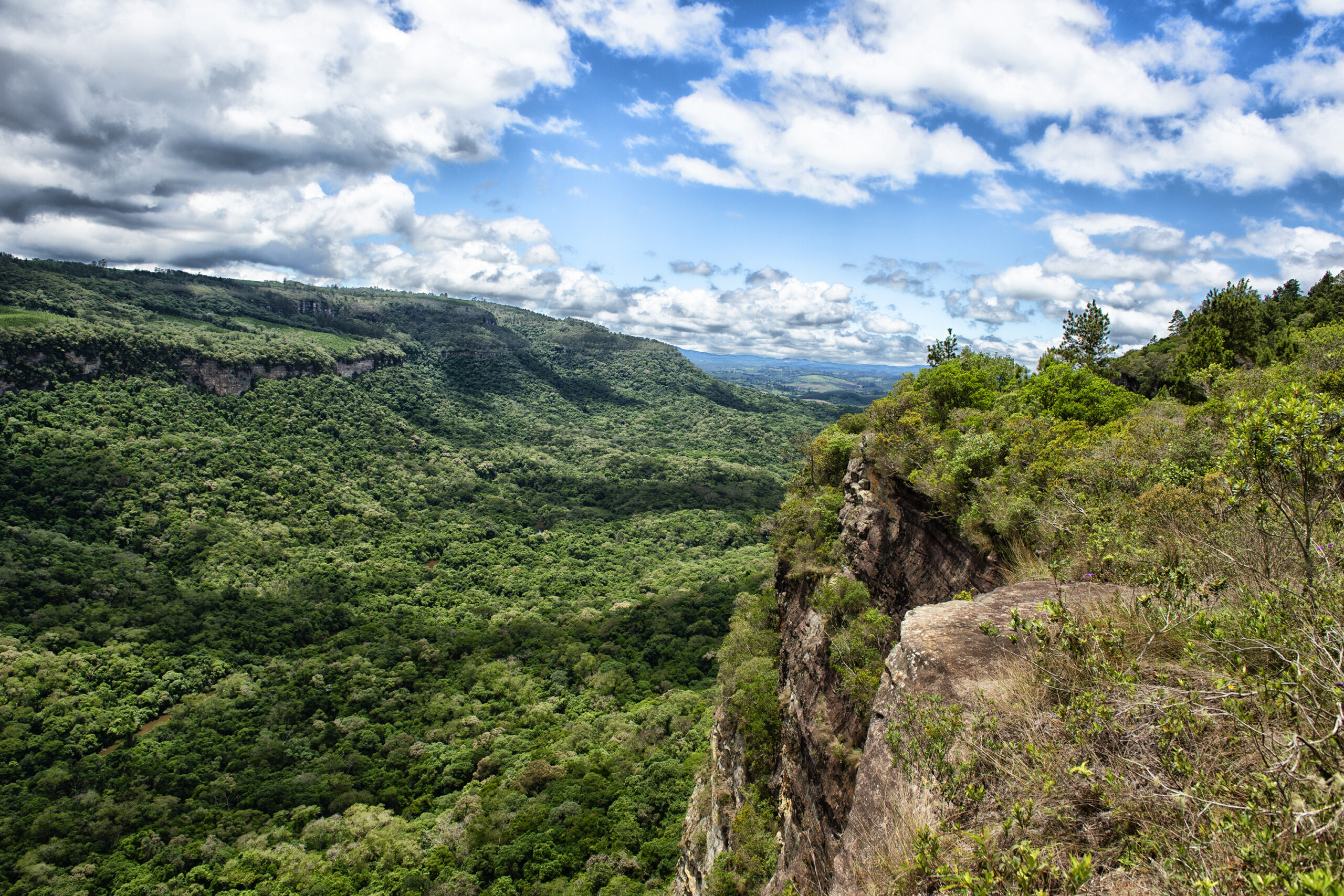 Foto: Denis Ferreira Netto/SEDEST-PR