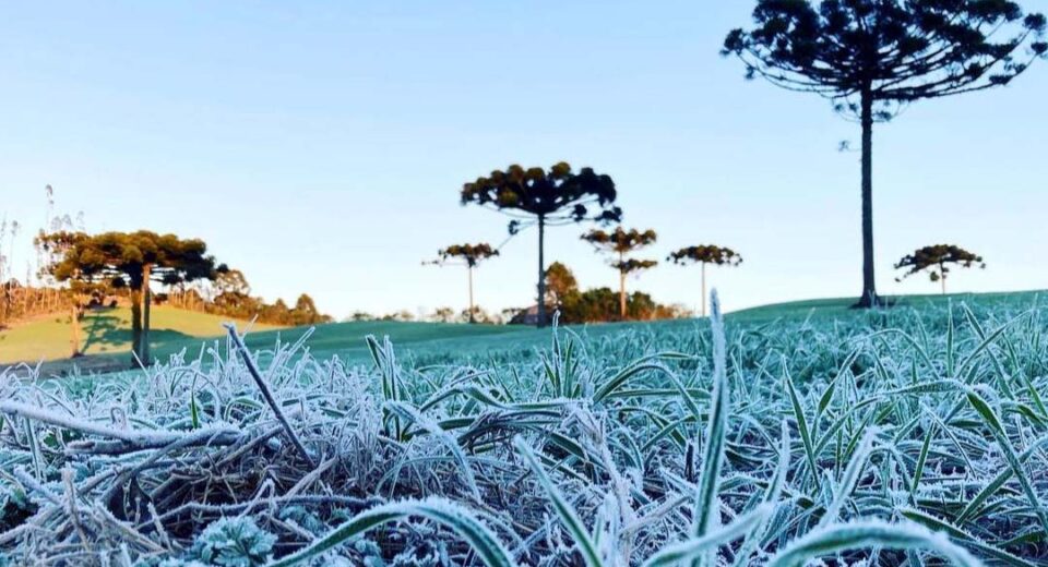 Foto: Ana Tigrinho/Arquivo AEN