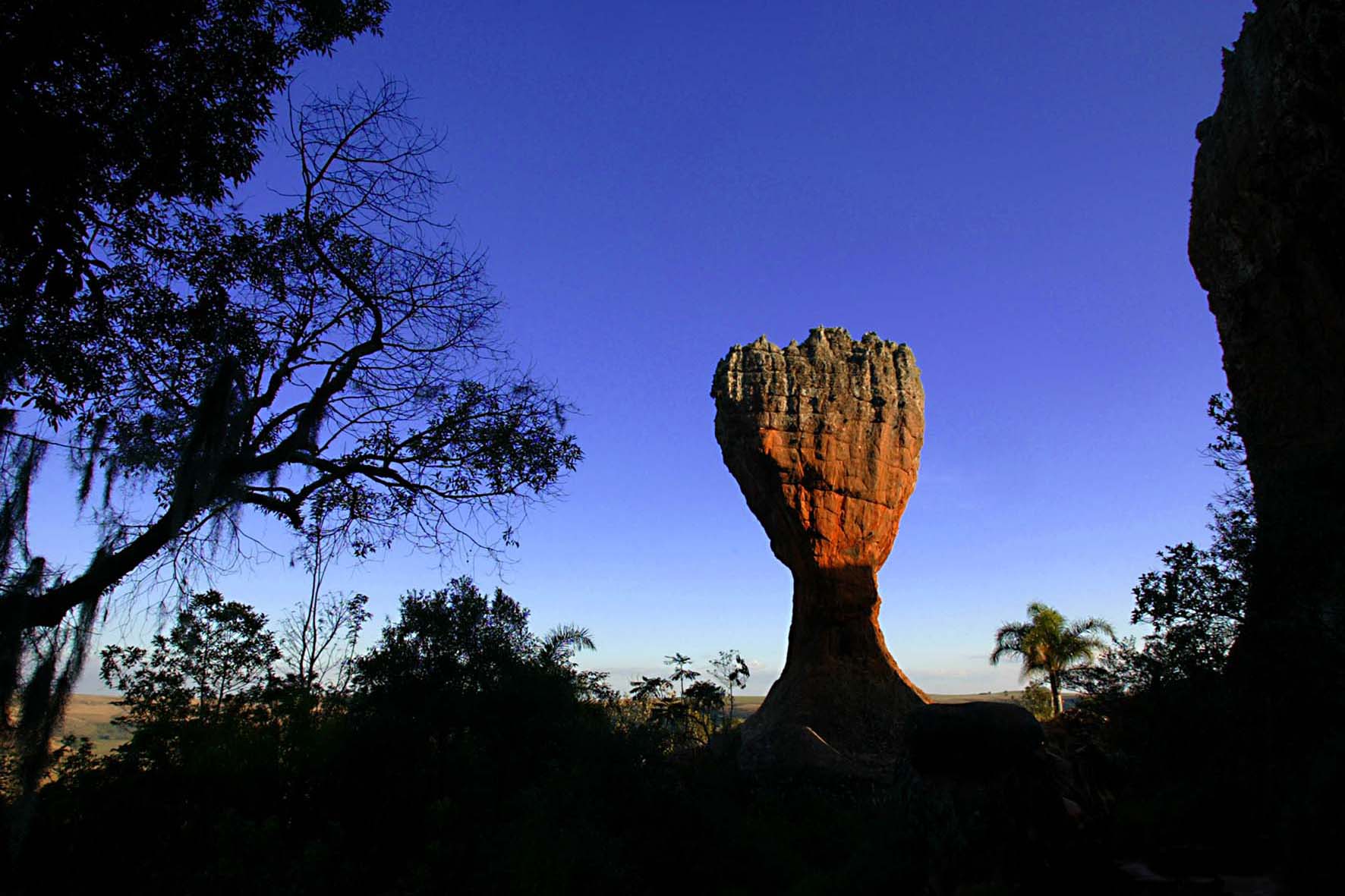 Foto: Denis Ferreira Netto/SEDEST-PR