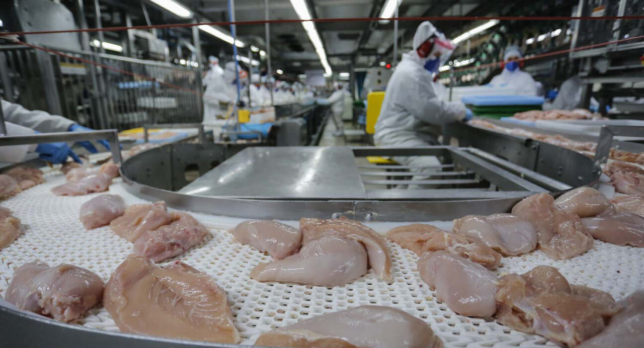 Foto: Jonathan Campos/AEN