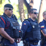 Paraná projeta maior safra de milho da história em 24/25, mesmo com perdas climáticas