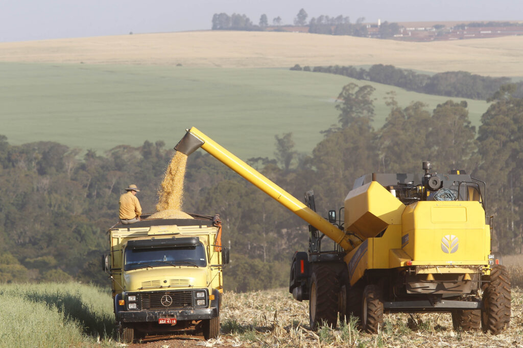 Foto: Jaelson Lucas/Arquivo AEN
