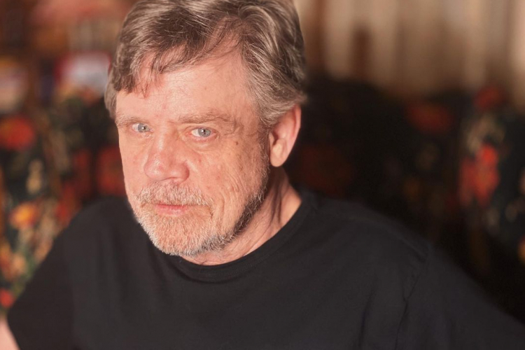 Reprodução/Instagram @markhamill