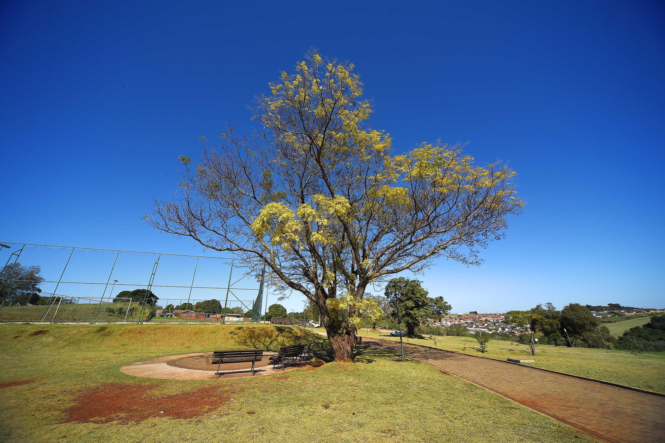 Foto: Denis Ferreira Netto/SEDEST