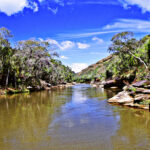 Eliana estaria insatisfeita na Globo e volta ao SBT é especulada