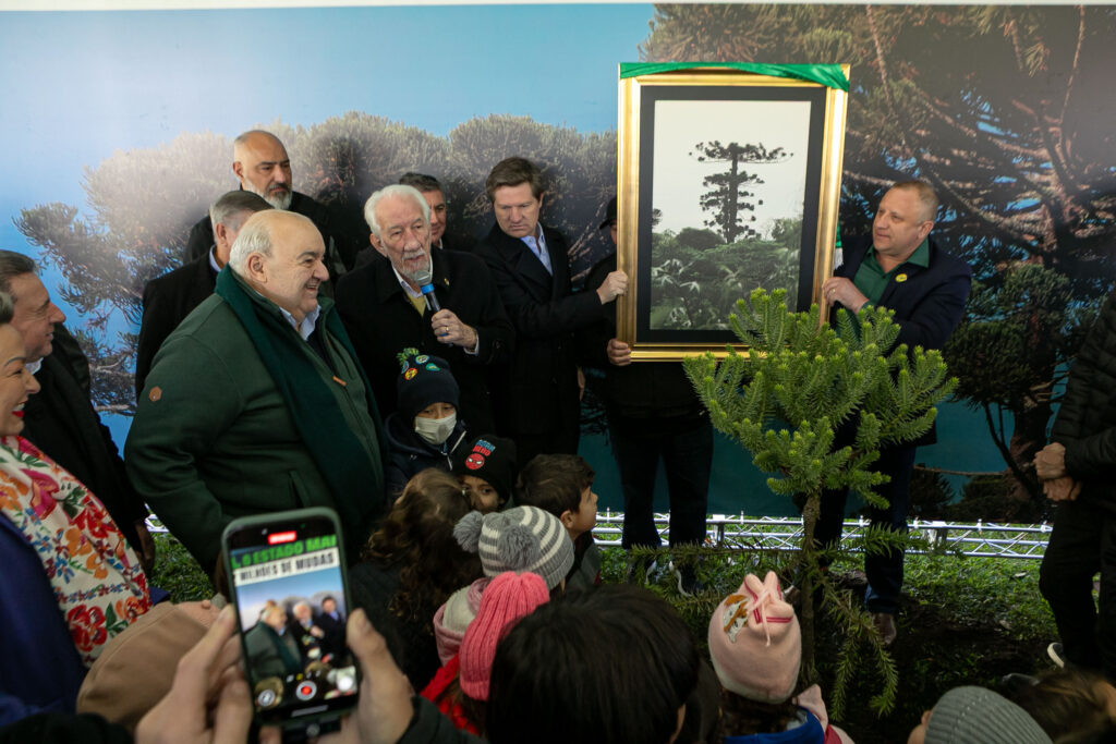 Foto: Roberto Dziura Jr/AEN