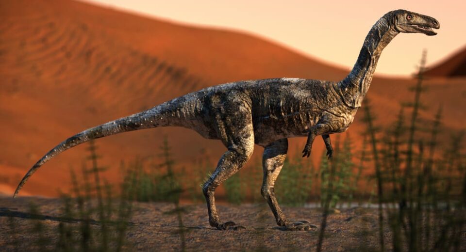 Credito: Arte / Rodolfo Nogueira