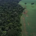 PCPR celebra 9 anos do Grupamento de Operações Aéreas com 3.800 missões