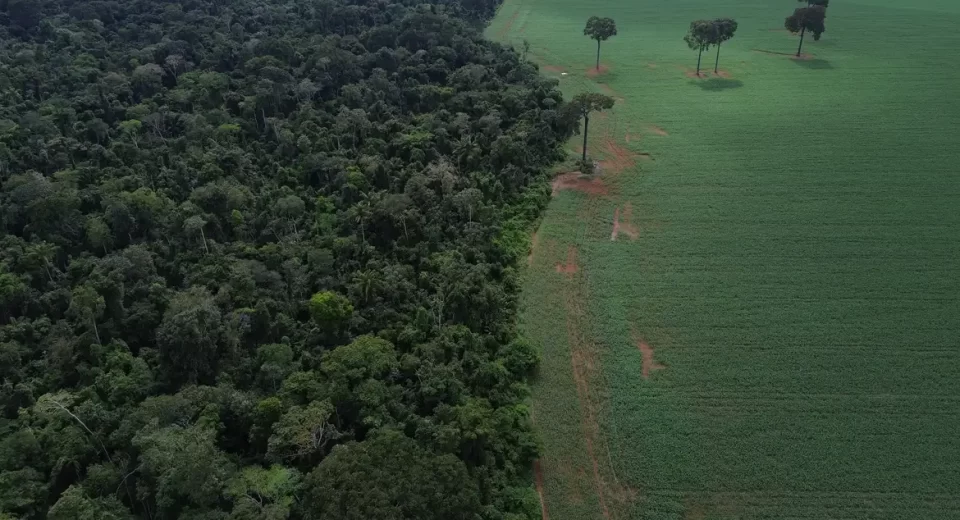 © Fernando Frazão/Agência Brasil