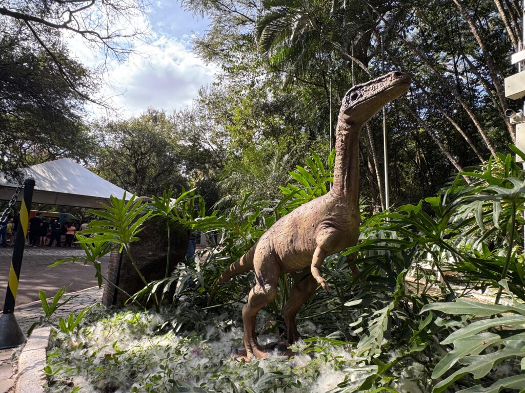 Credito: Divulgação / PMM