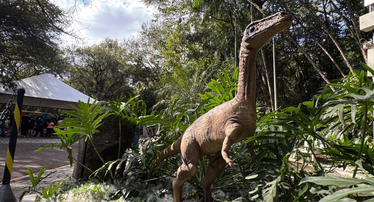 Credito: Divulgação / PMM