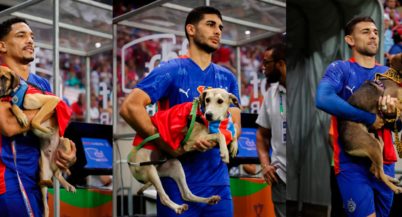 Foto: Letícia Martins/ EC Bahia