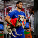 Prefeitura de Maringá migra sistema de gestão pública para plataforma online