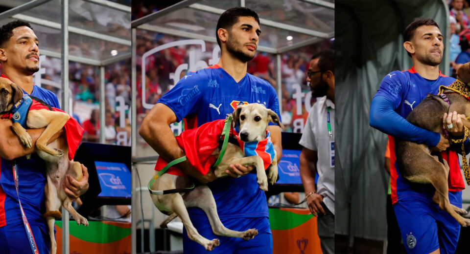 Foto: Letícia Martins/ EC Bahia