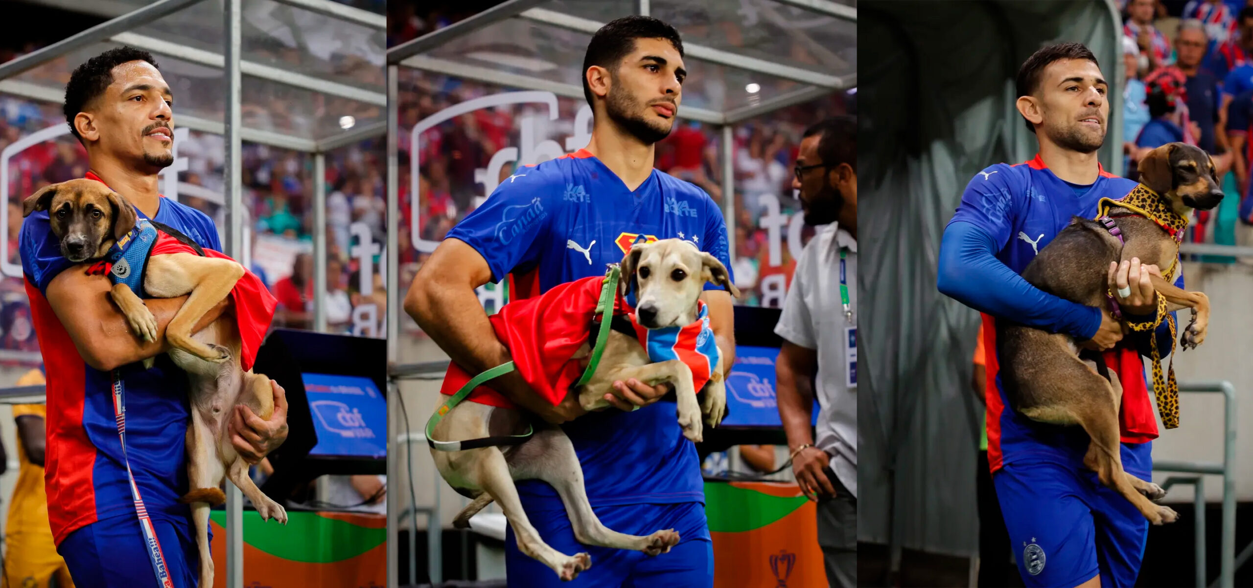 Foto: Letícia Martins/ EC Bahia