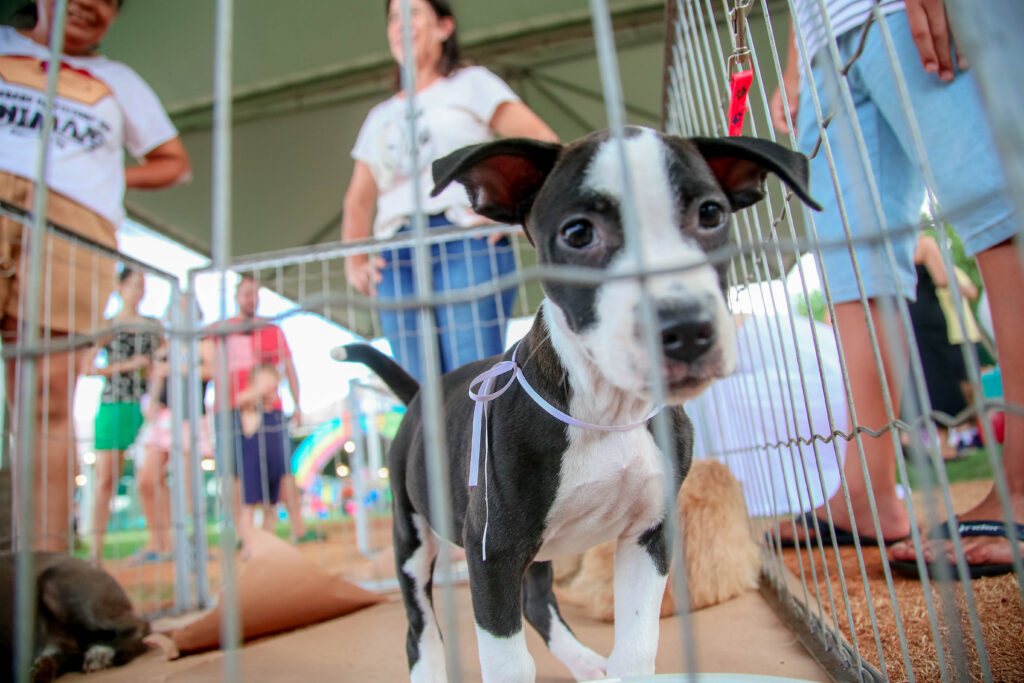 Credito: Rafael Macri/PMM)