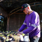 Brasil responderá tarifaço dos EUA com lei de reciprocidade, diz Lula