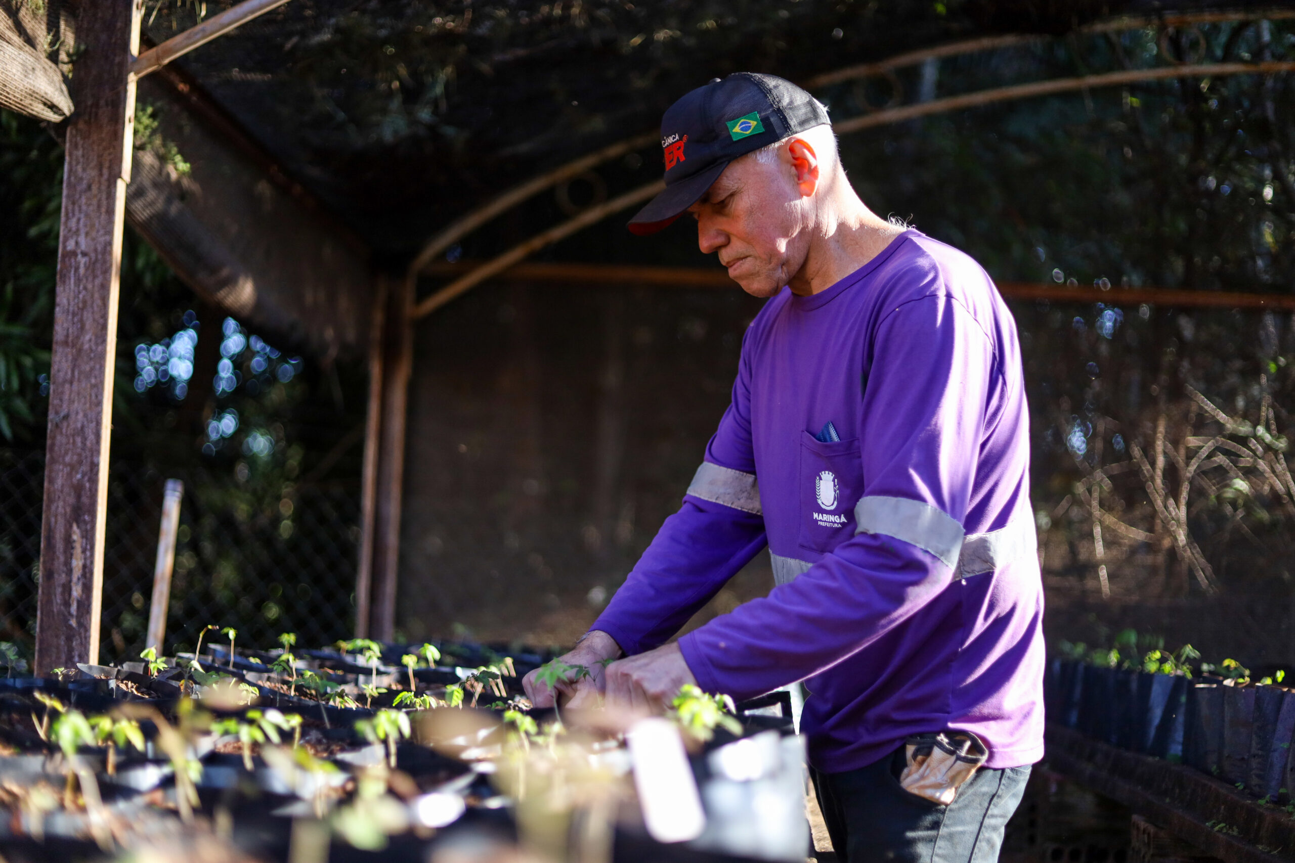 Credito: Rafael Macri / PMM