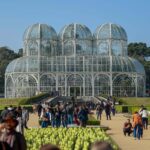 Atletas do Bahia entram em campo com cães vestidos de Superman para campanha de adoção