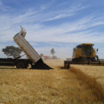 Planos de saúde poderão abater dívidas ao atender pacientes do SUS