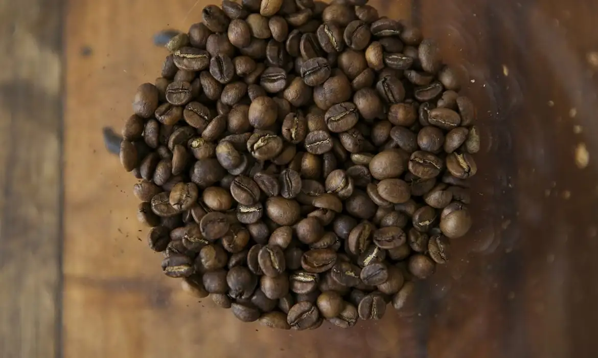 © Marcelo Camargo/Agência Brasil