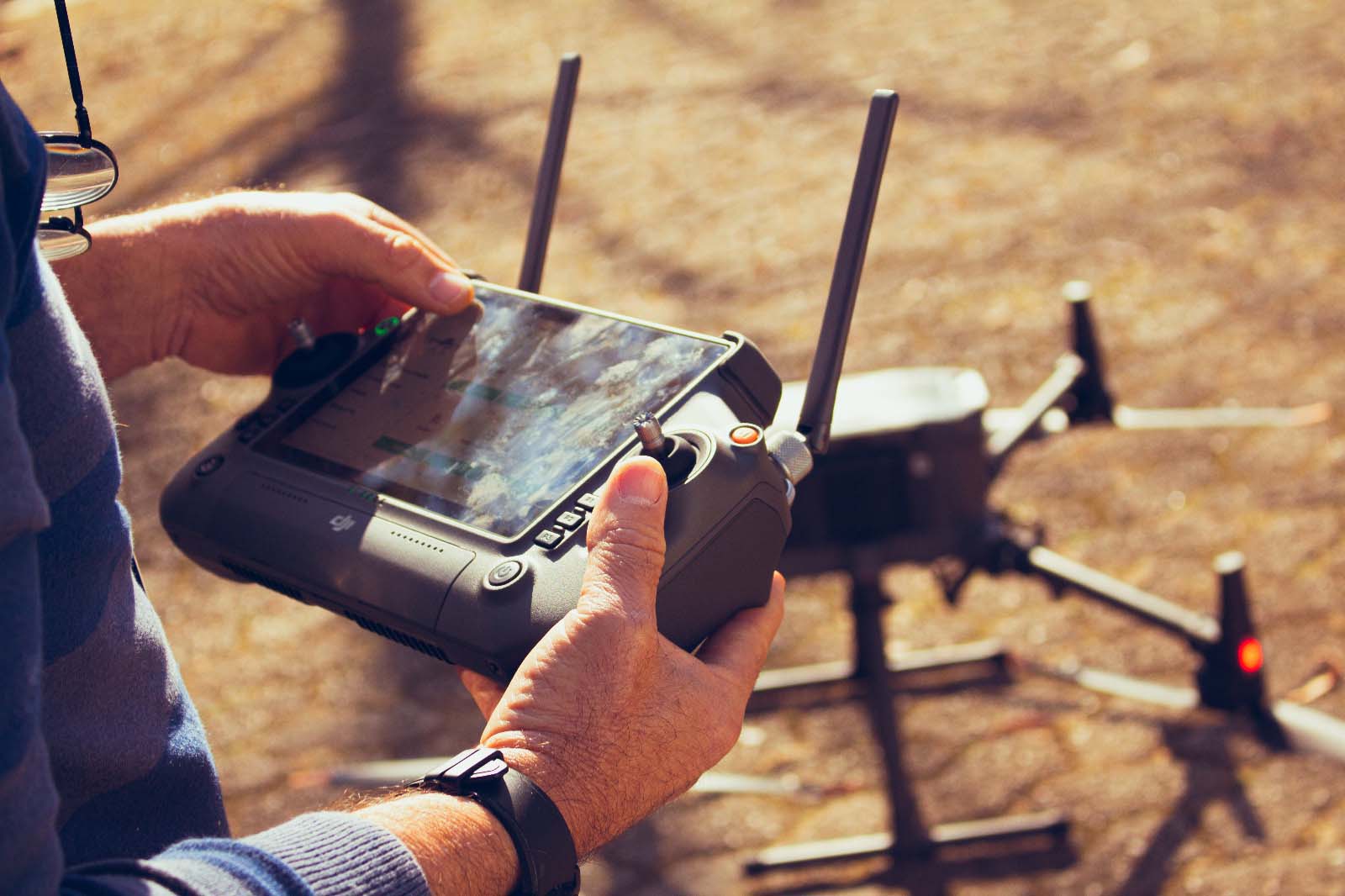 Foto: Yuri A.F. Marcinik/ SIMEPAR