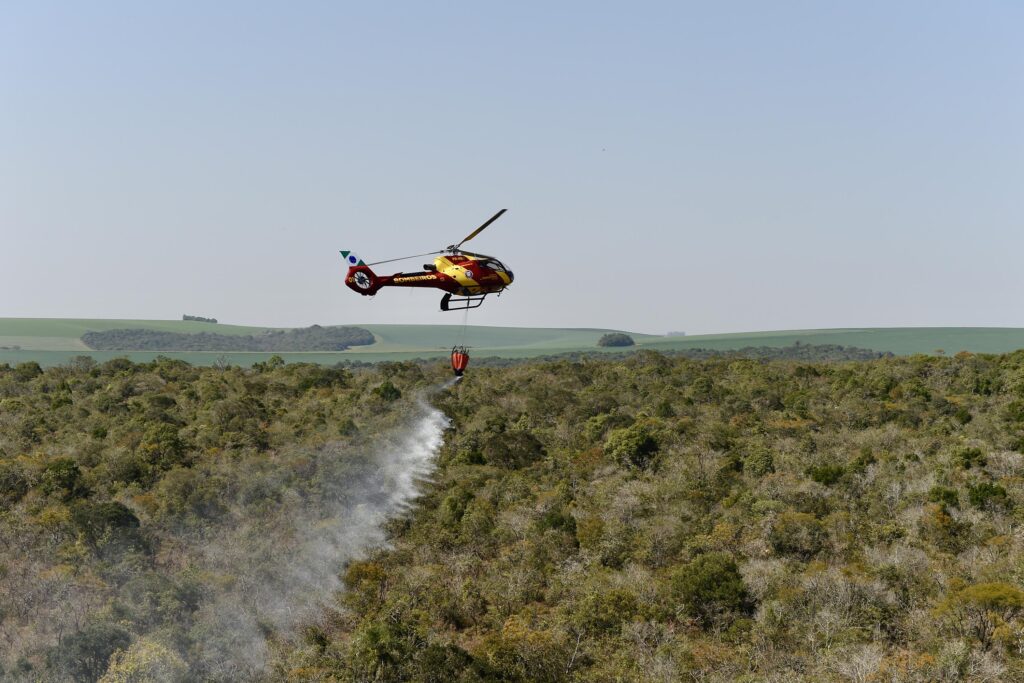 Foto: Denis Ferreira Netto/SEDEST-PR