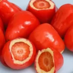 Londrina reduz crimes e é cidade mais segura acima de 250 mil habitantes do Paraná