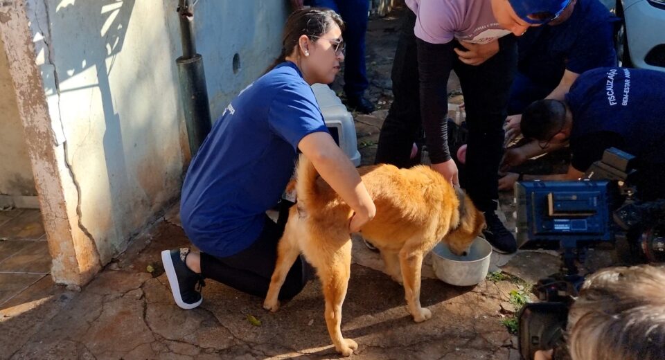 Credito: Divulgação / PMM