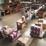 ‘The Voice Brasil’, agora no SBT, anuncia técnicos e apresentador