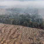 Risco Geopolítico, Brasil e EUA: Como se Preparar para o Pior Cenário