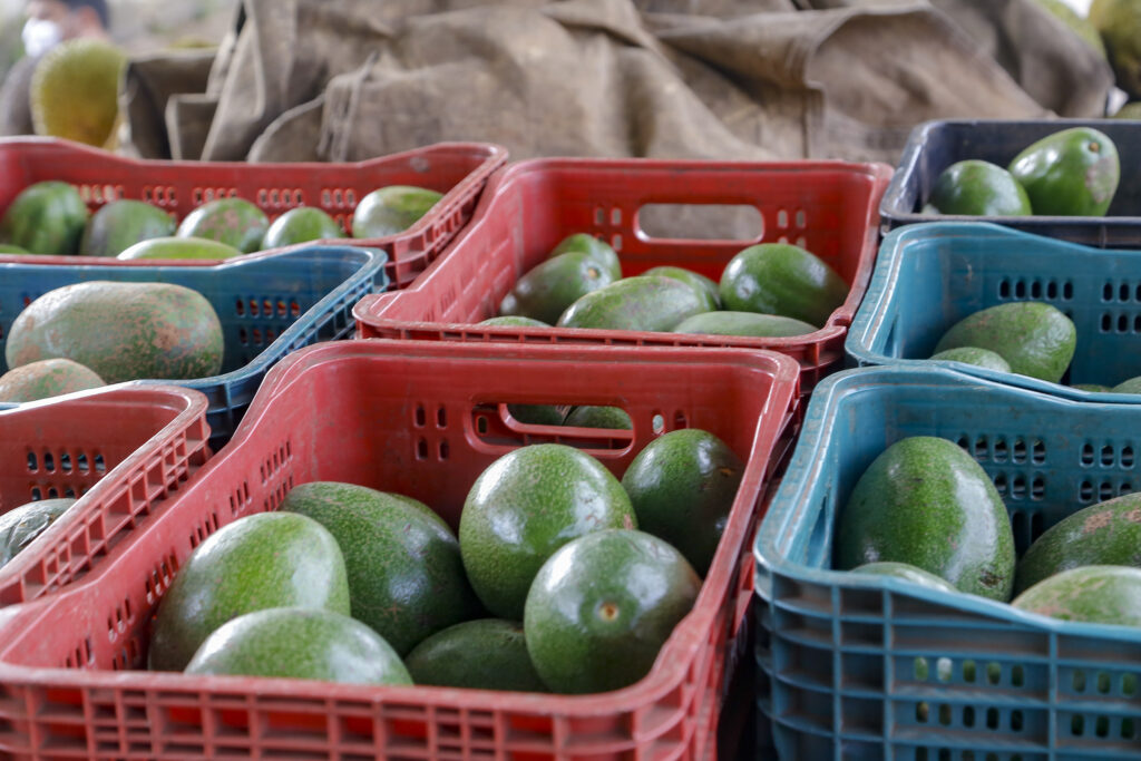 Foto: Gilson Abreu/AEN