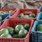 UEL registra 2.144 inscritos no concurso público para professores