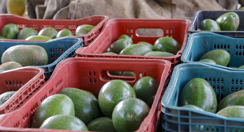 Foto: Gilson Abreu/AEN