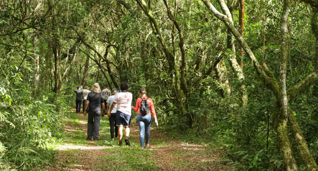 Foto: Roberto Dziura Jr/AEN