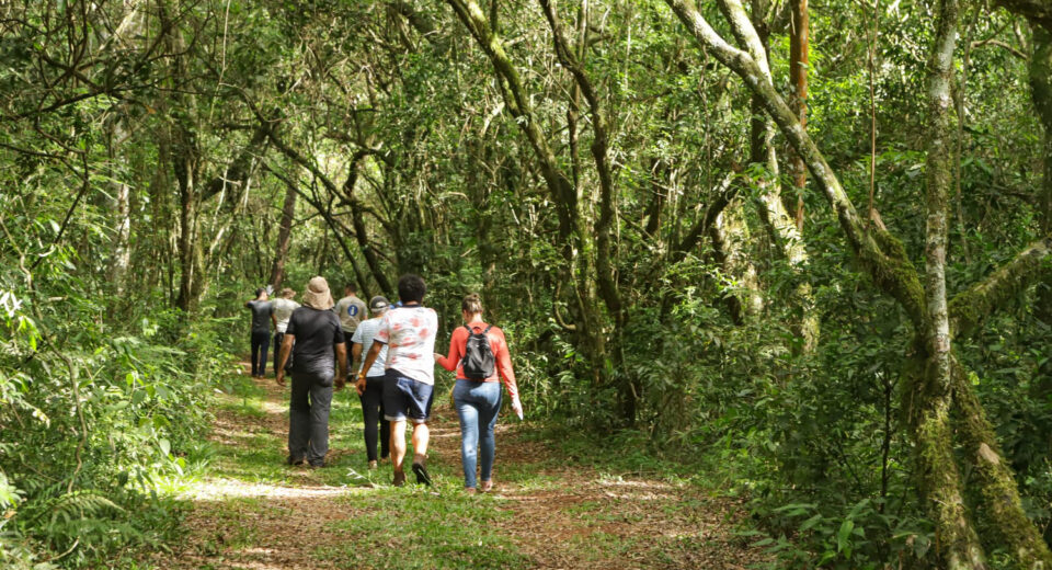 Foto: Roberto Dziura Jr/AEN