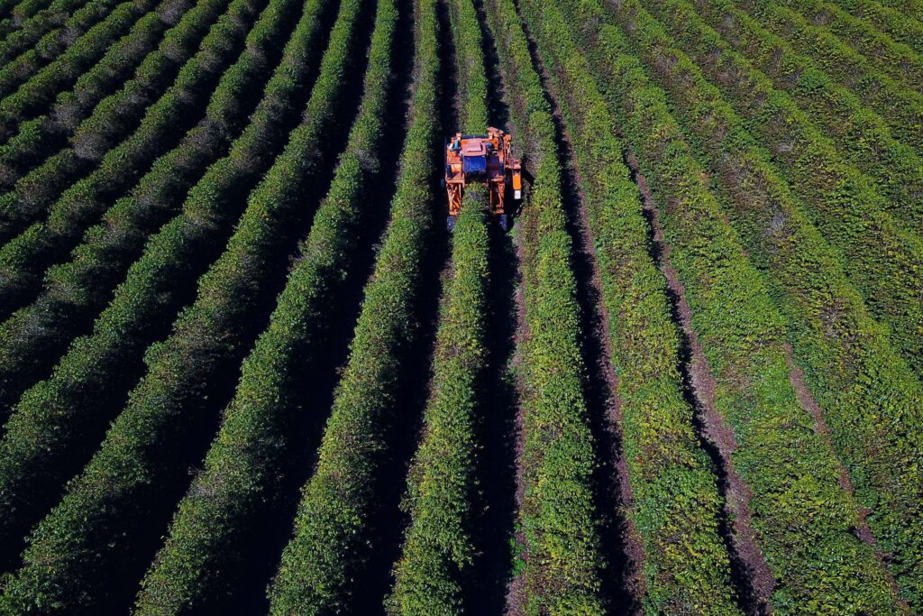 Foto: José Fernando Ogura/Arquivo AEN