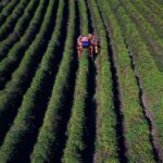 Estado vai repassar aos municípios recursos para políticas antirracistas