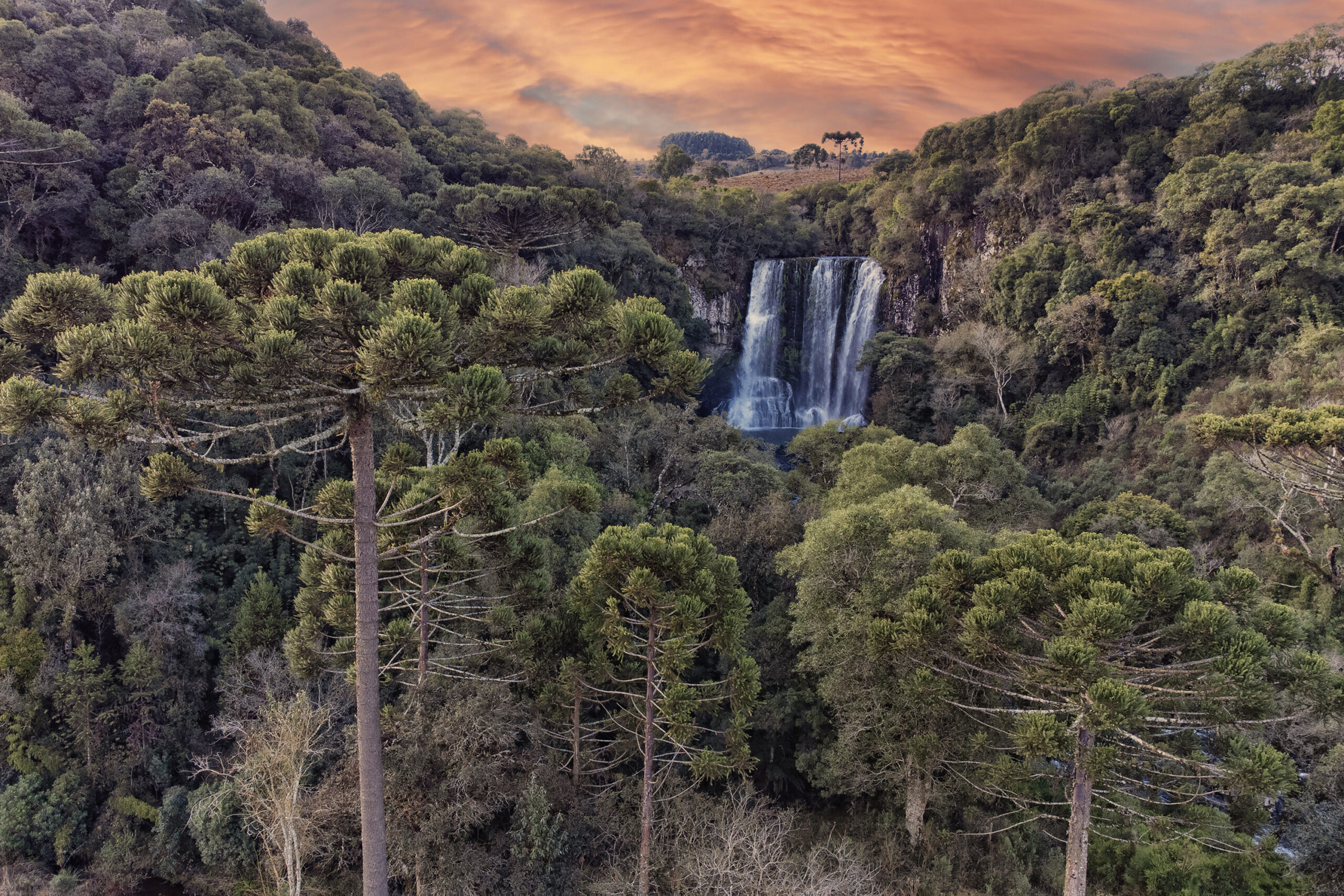 Foto: Denis Ferreira Netto/SEDEST-PR
