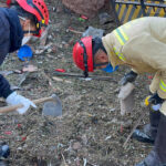 Julgamento de Bolsonaro e mais sete por tentativa de golpe é marcado para dia 2 de setembro