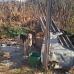 País precisa dar prioridade política à alfabetização, diz especialista